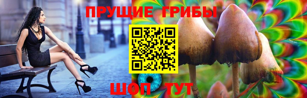 Галлюциногенные грибы ЛСД  Вход с VPN  Кемерово  Псилоцибиновые грибы MAGIC MUSHROOMS 