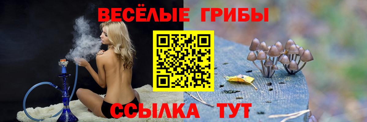 Галлюциногенные грибы прущие грибы Кемерово